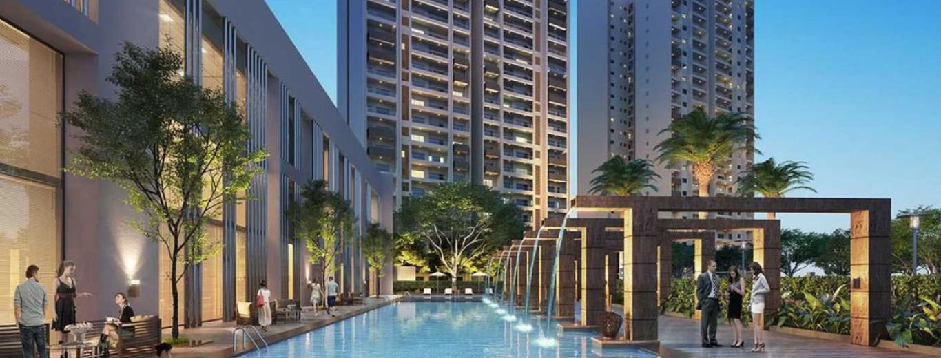 Construction cranes at sunset